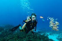 Diving package from RIU Atoll and RIU Palace Maldivas
