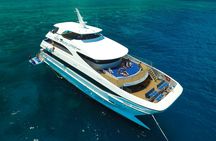 Great Barrier Reef cruise with scenic helicopter flight