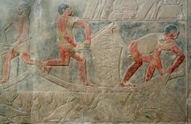 Memphis and Saqqara private tour with home cooked lunch from Cairo