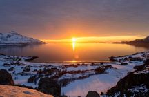 Winter Kvaløya Fjord tour