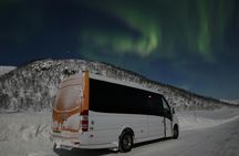 Northern Lights Chase