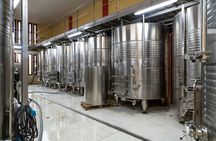 Macià Batle Winery Visit with Tasting