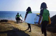One-day Costa de la Luz Surf Lesson