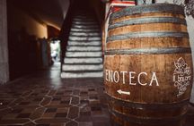Bolzano wine experience with a professional sommelier