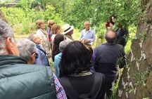 Re Fiascone tomato experience