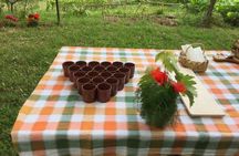 Re Fiascone tomato experience