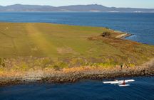 Wineglass Bay and Maria Island wildlife scenic flight tour with lunch