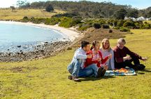 Wineglass Bay and Maria Island wildlife scenic flight tour with lunch