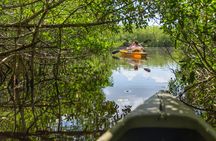 Private Mangrove Tunnel Kayak Eco Tour