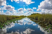 Orchids and Alligators private kayak eco-tour