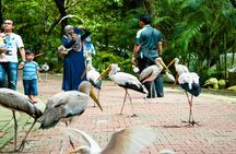 Kuala Lumpur Bird Park entrance tickets with hotel pick up