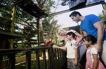 Kuala Lumpur Bird Park entrance tickets with hotel pick up