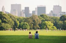 Semi-private Central Park walking tour