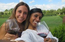 Pisa and Chianti small-group tour from Florence