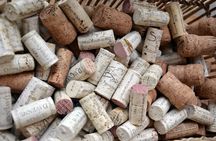 Visit of the Domaine Clotilde Davenne and Chablis wine tasting session