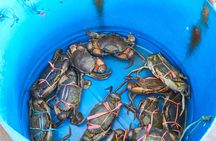Crab Island private boat tour with seafood lunch