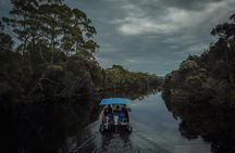 Southwest wilderness experience scenic flight and cruise with lunch