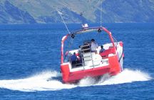 Speedboat experience in Cambrils