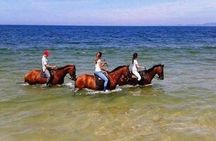 Horse riding private tour in Comporta natural reserve