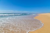 Horse riding private tour in Comporta natural reserve