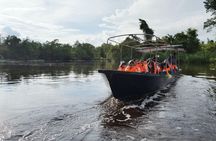 Klias mangrove wildlife and fireflies tour