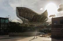 Enjoy a personalized half-day tour in Barcelona with a local