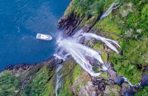 Milford Sound boutique small boat day cruise
