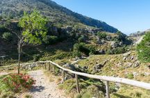 Guided tour of Imbros gorge from Chania