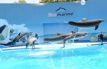 Zoomarine private trip from Lisbon with entrance tickets