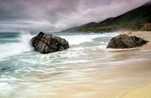 Redwoods, California Coast, & Sausalito Tour