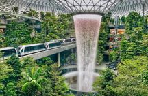 Changi Jewel highlights walking tour with Canopy Park ticket