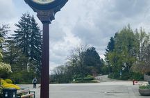 Private Vancouver family fun tour