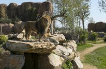 Entrance ticket for ZooParc de Beauval