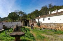 Paderne guided bike tour