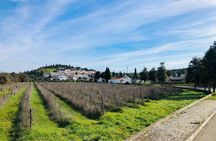 Paderne guided bike tour
