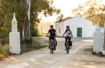Faro and Ria Formosa bike tour