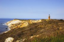 Martha’s Vineyard 3-hour shared tour from Oak Bluffs