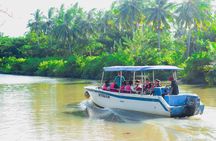 Tamau mangrove wildlife and fireflies tour