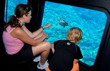Morning VIP cruise on Nefertari yacht from Marsa Alam