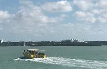 Sea Screamer speedboat ride at Clearwater Beach