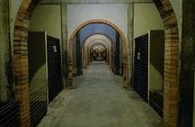 Half-day Bairrada Winery Route tour from Coimbra