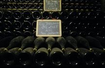 Half-day Bairrada Winery Route tour from Coimbra