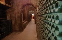 Half-day Bairrada Winery Route tour from Coimbra