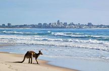 Bribie Island 4WD, kayak, beach and bunker tour