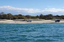 Bribie Island 4WD, kayak, beach and bunker tour