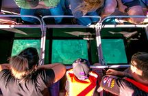 Airlie Beach glass bottom boat tour
