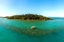 Airlie Beach glass bottom boat tour