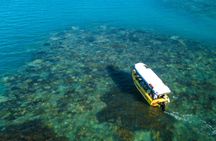 Airlie Beach glass bottom boat tour