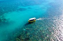 Airlie Beach glass bottom boat tour