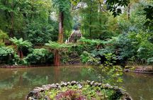 Bussaco Forest walking experience from Coimbra